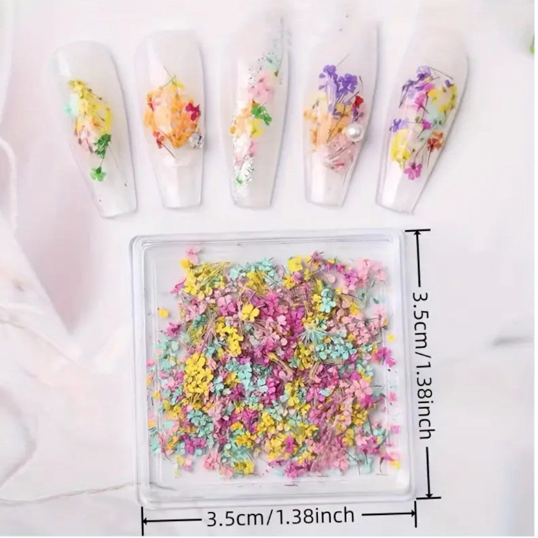 CNBS Dried Flowers - Mixed Pressed Lace