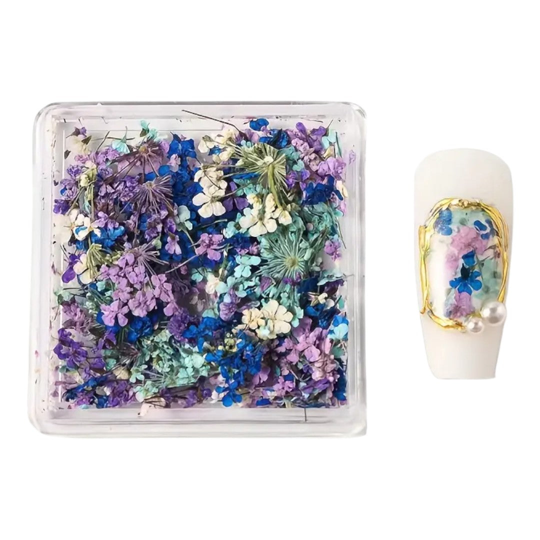 CNBS Dried Flowers - Mixed Pressed Lace