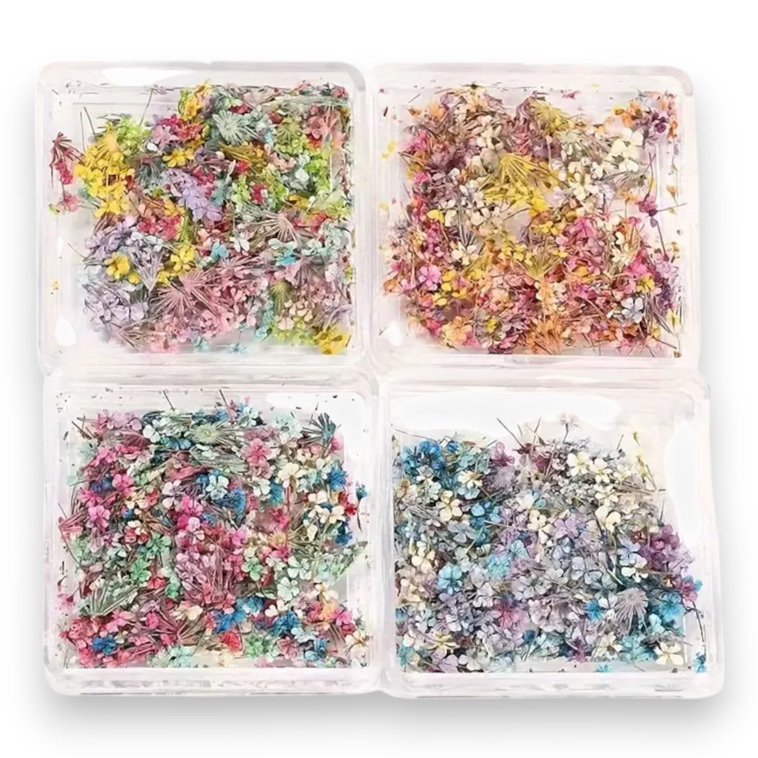 CNBS Dried Flowers - Mixed Pressed Lace