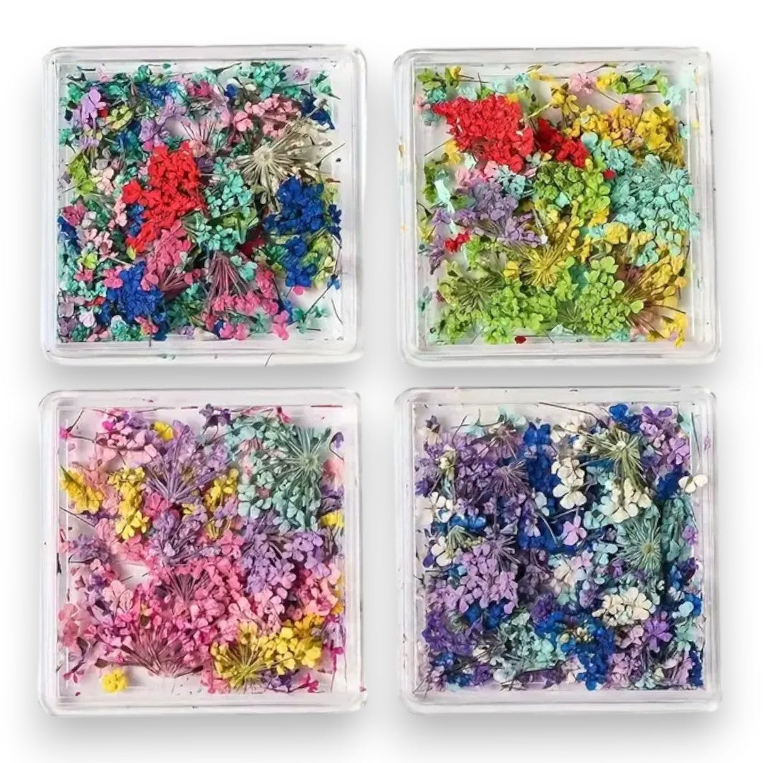 CNBS Dried Flowers - Mixed Pressed Lace