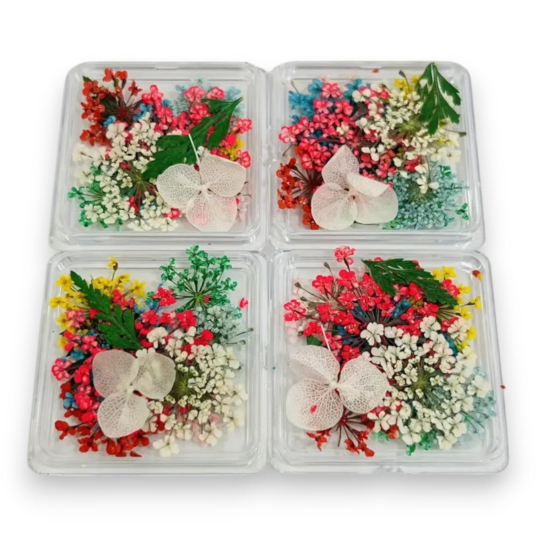CNBS Dried Flowers - Mixed Pressed Lace