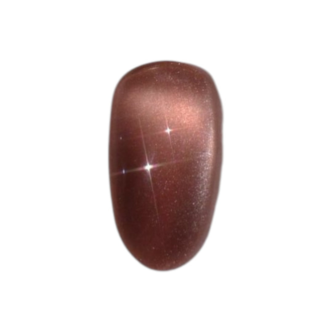 DGEL Signature Gel Polish - Brick Rose #DS224