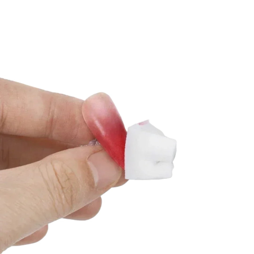 CNBS Nail Art/Ombre Sponge 100pcs
