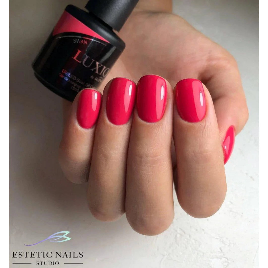 Akzéntz Luxio Gel Colour - Swan #041