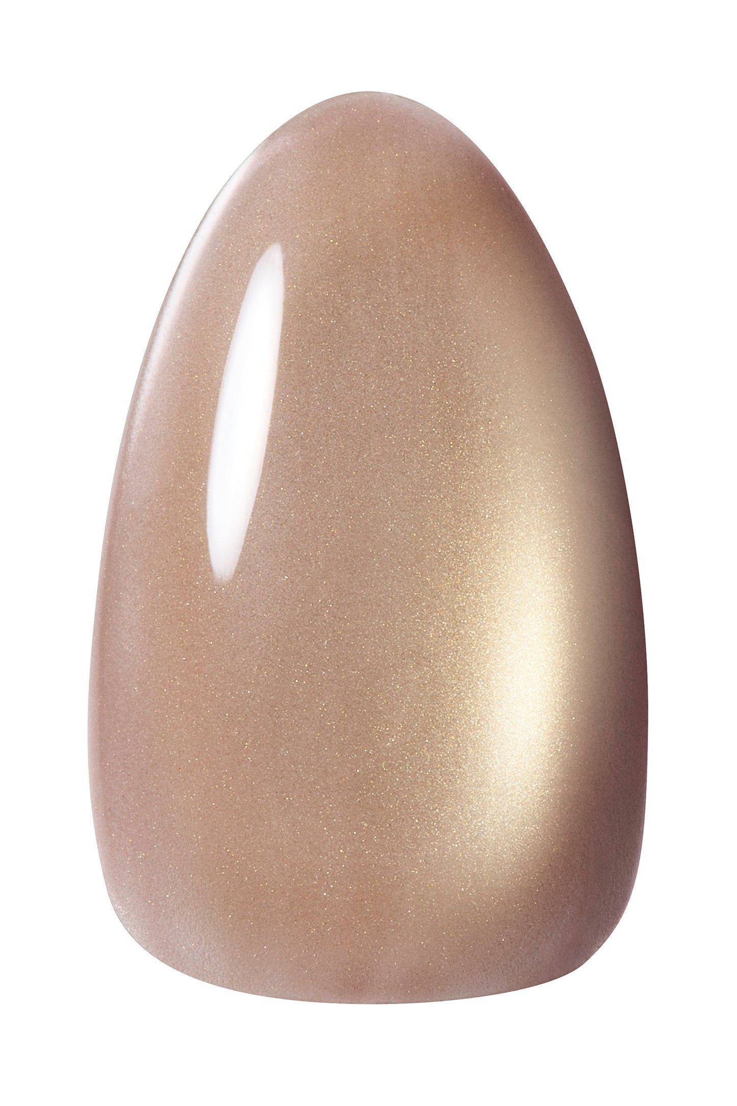 Kokoist Terra Magnet - Mushroom Stone #TM-51