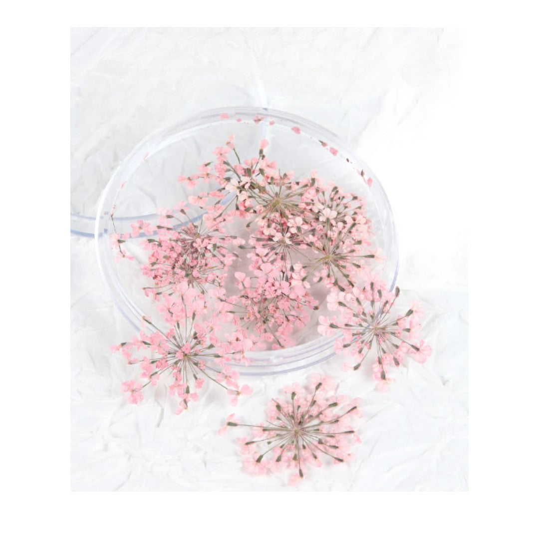 dried flowers canada, CNBS 3D Dried Flower Nails Art, affordable nail prices, dried flowers for nails