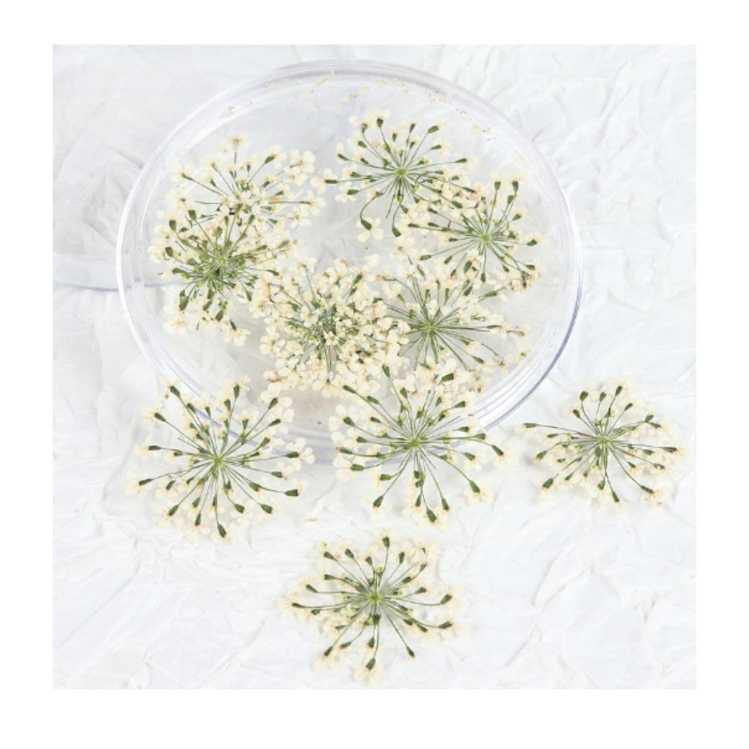 dried flowers canada, CNBS 3D Dried Flower Nails Art, affordable nail prices, dried flowers for nails