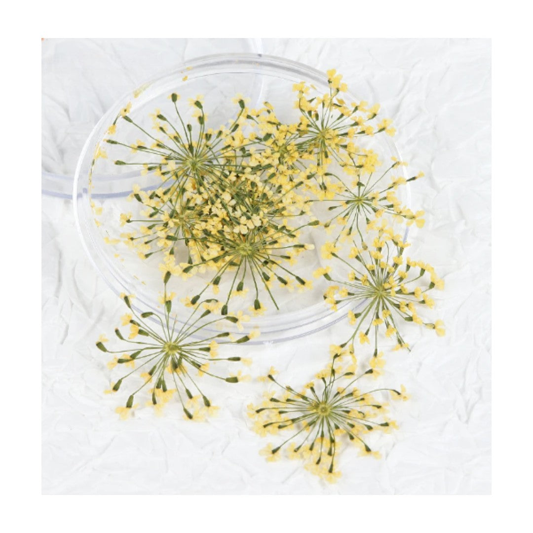 dried flowers canada, CNBS 3D Dried Flower Nails Art, affordable nail prices, dried flowers for nails