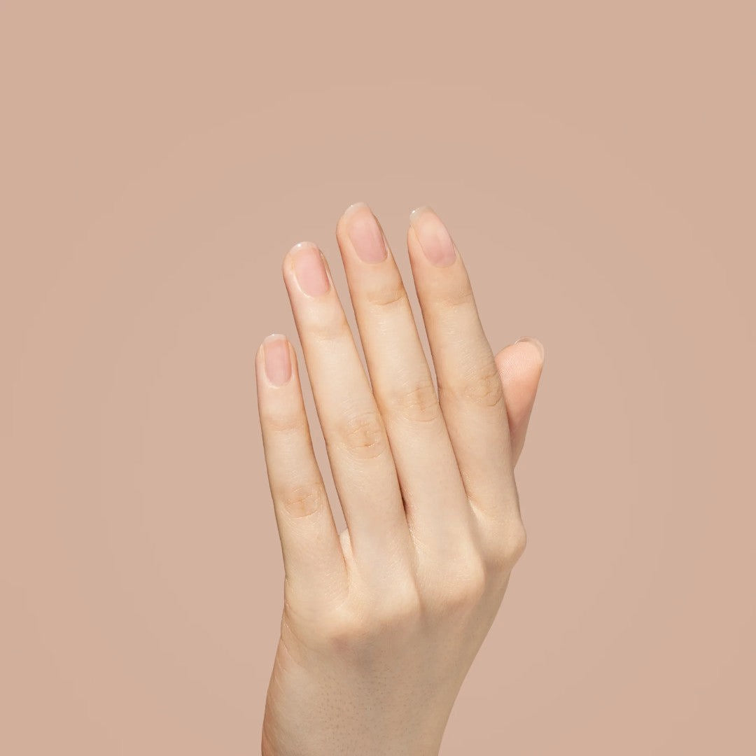 Bio Seaweed Gel #12 Tea Party