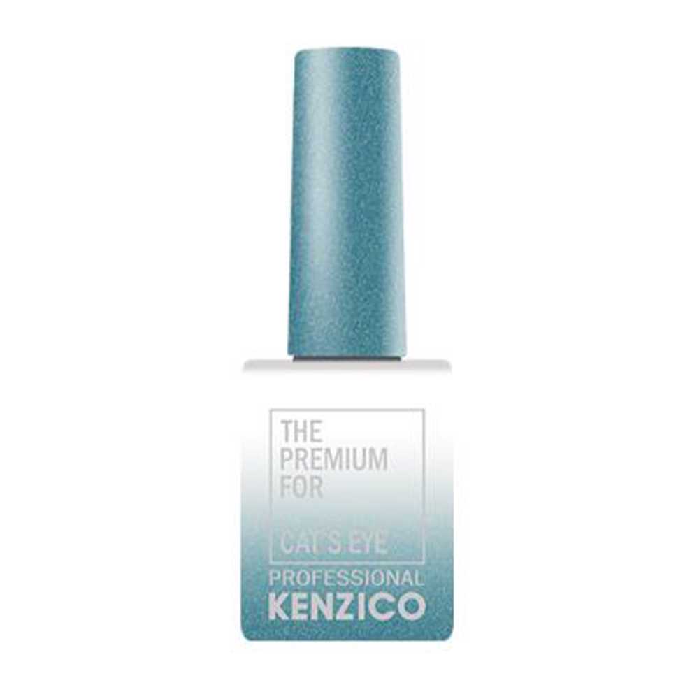 Kenzico Korean Gel Polish, Cat Eye Gel Polish CE-309
