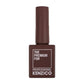 Kenzico Gel Colour #FW23