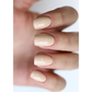 The Gelbottle Gel Colour - Honey #553