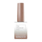 Kenzico Cat Eye Gel Polish #CE304