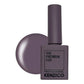 Kenzico Gel Colour #KF06