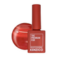 Kenzico Gel Colour #AT03