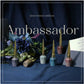 Estemio Ambassador Winter 2022 Collection