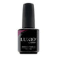 Akzéntz Luxio Gel Colour - Gypsy #047