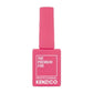 Kenzico Gel Colour #FFW203