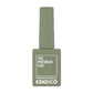 Kenzico Gel Colour #FFW502