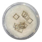 CNBS Nail Charm - Mixed 3D Shapes