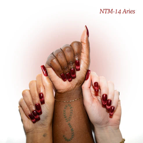 Kokoist x Nail Thoughts Cat Eye Gel Polish - Aries #NTM-14
