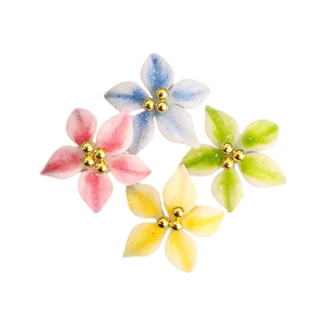 CNBS Nail Charms - 3D Handmade Acrylic Multi Colour Flower Varied Style 4pcs