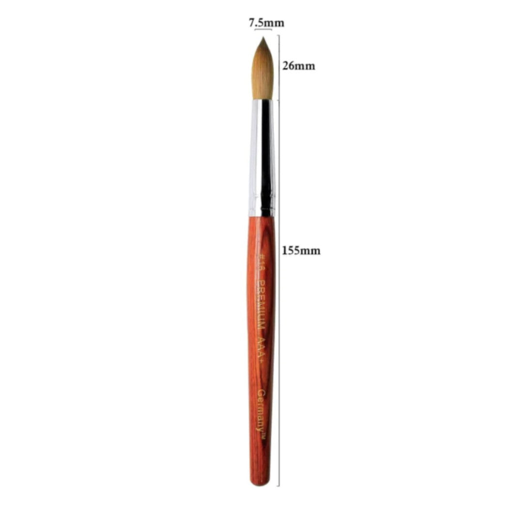 Chisel Acrylic Brush - Premium AAA+ Kolinsky