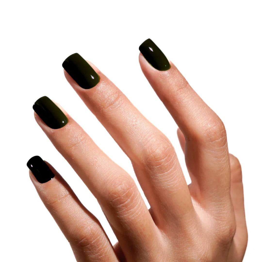 Akzéntz Luxio Gel Nocturne Winter 2025 Collection