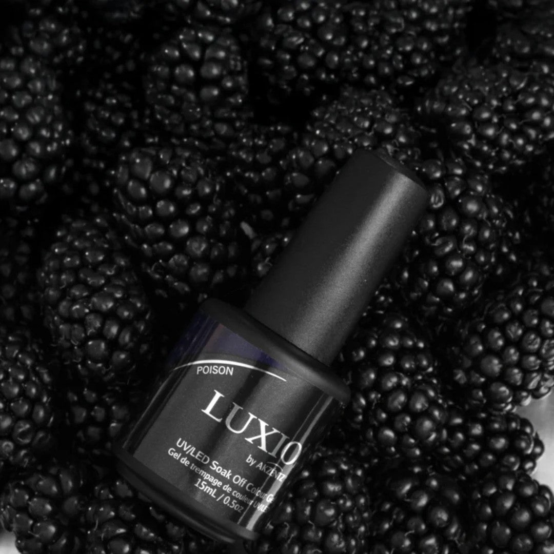 Akzéntz Luxio Gel Nocturne Winter 2025 Collection