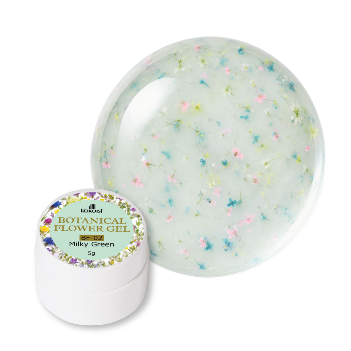 Kokoist Botanical Flower Gel (HEMA/TPO-Free) Collection (6pcs)