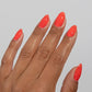 DND DC Jelly Gel & Lacquer Duo - Poppy #012