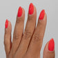 DND DC Jelly Gel & Lacquer Duo - Tiger Blood #013