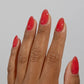 DND DC Jelly Gel & Lacquer Duo - Wildberry #015