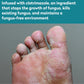Dr. Blaine's Tineacide Shoe Spray Classique Supply
