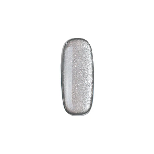 Kokoist Excel Colour Gel - Platinum Micro Glitter #E-84
