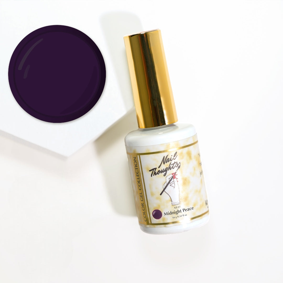 Kokoist X Nail Thoughts Colour Gel - Midnight Peace #NT-17