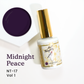 Kokoist X Nail Thoughts Colour Gel - Midnight Peace #NT-17