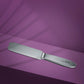 Staleks Metal Foot File, Base EXPERT 10