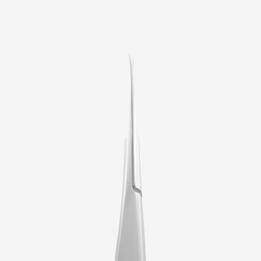 Staleks Professional Micro Scissors for Eyebrows Modeling EXPERT 90 TYPE 2