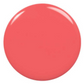 Essie Gel Couture, Gel-Like Nail Polish, Coastal Couture 437 Classique Nails Beauty Supply Inc.