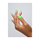 The Gelbottle Gel Paint (HEMA-Free) - Rainbow