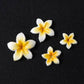 CNBS 3D Silicone Mould – Mixed Flower Designs