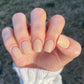 Bio Seaweed Gel #88 Lily