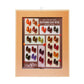 Cre8tion (HEMA/TPO-Free) Cat Eye Gel Polish - Autumn Collection (24pcs)