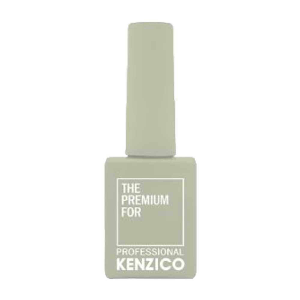 Kenzico Gel Colour #FFW501
