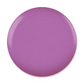 DND Gel & Lacquer Duo - Purple Passion #543