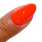 DND DC Gel & Lacquer Duo - Untamed #2542