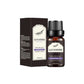CNBS Aromatherapy Essential Oil 10Ml
