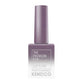 Kenzico Cat Eye Gel Polish #CE06