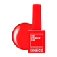 Kenzico Gel Colour #R03